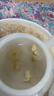 贡苑12A茉莉花苞雪球40g【去梗更清甜】横县原产茉莉花茶干花蕾泡水喝 实拍图