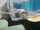 玩小匠儿童创意趣味玩具蚂蚁工坊生态箱城堡观察盒巢穴弓背蚁后别墅礼物 蓝色单层+30只蚁+工具+种子等 不带夜光底座 实拍图