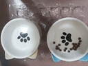 憨憨乐园猫碗陶瓷猫粮双碗斜口狗碗狗盆狗粮宠物幼猫咪吃饭食盆喝水喂食 实拍图