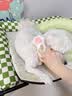 HELLOJOY宠物洗澡刷子猫咪狗狗搓澡神器硅胶按摩泰迪金毛沐浴清洁工具用品 实拍图