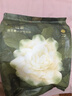 babycare山茶花一次性内裤女孕产妇日抛待产出差旅行M码15条【 安全灭菌】 实拍图