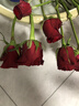 玫瑰花束云南鲜花批发真花节日礼物玫瑰鲜花七夕情人节礼物 高原红玫瑰18+2枝防损耗 实拍图
