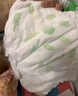 碧芭宝贝拉拉裤冰淇淋special系列婴儿裤型纸尿裤超薄透气 拉拉裤XL码 34片(12-17kg) 实拍图