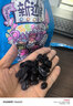 新边界 蜜饯果干新疆特产黑加仑葡萄干干果零食500g/袋 实拍图