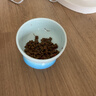 乐优派猫碗陶瓷狗碗猫食盆狗盆宠物碗猫粮碗高脚防打翻猫咪用品 渐变蓝 实拍图