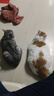 亿色汽车掸子擦车拖把除尘掸子汽车刷子除尘掸软毛不伤车内饰洗车工具 实拍图