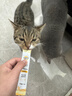 奥丁（ODIN）猫粮 鲜肉美毛 幼猫成猫美短英短蓝猫暹罗猫 鱼肉味天然猫粮2kg 实拍图