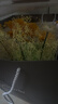 JoyFlower永生花向日葵摆件生日礼物结婚一举夺魁中高考毕业送女生朋友老师 实拍图