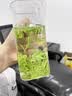 福茗源绿茶 精品安吉白茶 早春顶芽明前头采2026新茶叶礼盒送领导250g 实拍图