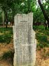 2026年北京市属公园游览年票北京市公园年票 实体票（需要电子版照片） 实拍图
