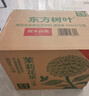 农夫山泉东方树叶绿茶500ml*15瓶无糖茶饮料0糖0脂0卡整箱装饮品 实拍图