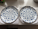 美浓烧（Mino Yaki） 日本进口美浓烧 陶瓷碗饭碗日式餐具 进口家用瓷盘碟大号汤碗 9.5英寸大浅盘【24.2*2.7cm】 实拍图