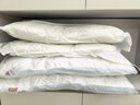 红豆A类抗菌枕头枕芯护颈枕睡眠颈椎病深度睡觉专用低枕48*74cm一只装 实拍图