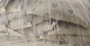 山山无光触媒活性炭包除甲醛除味竹炭包装修新车去味碳包2KG 实拍图