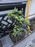 斗途园艺 防腐木花箱实木花盆长方形阳台种菜盆景特大种植箱户外支持定制 长宽高40*30*30 大 实拍图