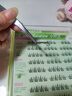 欧亿姿（oeiez）免胶假睫毛仿真免胶水短款婴儿弯嫁接眼睫毛自然小阳光 实拍图