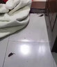 【即插即灭】超声波变频驱蚊神器家用灭蚊强效室内驱虫驱蝇蟑螂 【家用室内驱蚊驱蝇】+白色1个 晒单实拍图