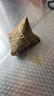 五芳斋 速冻蛋黄猪肉粽 100g*5只 嘉兴粽子蛋黄肉粽端午粽子早餐食品 实拍图