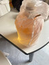 金龙鱼 食用油 非转基因 物理压榨玉米油6.18L（蕴含植物甾醇） 实拍图