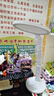 孩视宝国AA级全光谱护眼台灯防蓝光学生学习阅读灯卧室书房床头灯VL161A 实拍图