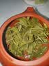 敬亭绿雪雨前茶2026年新茶尝鲜试喝绿茶宣城敬亭山毛峰雨前茶自己喝口粮茶 雨前茶（理条工艺） 150g盒装 实拍图