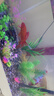 萌嘟星宠仿真水草鱼缸造景套装水族箱布景装饰摆件假植塑料假水草 11件套 实拍图