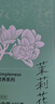 贡苑花草茶 广西原产茉莉花苞【保鲜铁罐125克】 茉莉花茶叶新花干 实拍图