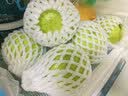 京喜加广西钦蜜9号黄金百香果青果发货当季新鲜大果黄皮果奶茶店水果 【2斤 约22-30个】 单果30-45g 实拍图