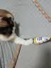 HELLOJOY猫咪不倒翁玩具羽毛逗猫棒球猫消耗体力自嗨解闷神器猫咪用品 实拍图