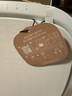 飞利浦（PHILIPS）空气净化器滤网滤芯官方正品FY3110/00适用于飞利浦宠物净化器AC3360/00/KJ380F-C21配件空净滤网 实拍图