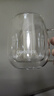 GLASSLOCK水杯双层玻璃杯家用茶杯耐冷热带把手防烫办公室隔热咖啡杯290ml 实拍图