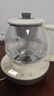 小熊（Bear）【价保618】煮茶壶喷淋式煮茶器 小型一人蒸茶壶养生壶 迷你养生烧水壶 1升 ZCQ-H10D1 实拍图
