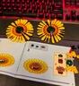 乐高（LEGO）(LEGO)积木拼装40524向日葵组合8支装 实拍图