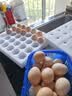 京鲜生 无抗保洁鲜鸡蛋30枚/盒 健康轻食 礼盒送礼 1.5kg/盒 源头直发 实拍图