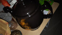 华生（Wahson） 全自动煎药壶养生壶家用中药锅熬电子中药壶熬药锅药膳电砂锅中药煲 黑陶A款- 3L 【适合200克内】 实拍图