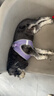 奥丁（ODIN）狗粮冻干鸭肉梨配方成犬幼犬通用金毛比熊小型中大型狗粮6.18kg 实拍图