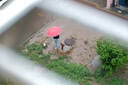 适马（SIGMA）56mm F1.4 DC DN｜Contemporary 半画幅 大光圈定焦镜头 人像特写直播（富士X卡口镜头） 实拍图