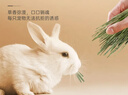 喜帅兔子提摩西草 精选烘干北提提草龙猫兔粮荷兰猪主粮磨牙零食500g 实拍图