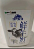 每日鲜语蒙牛现代牧场鲜牛奶1500ml巴氏杀菌桶装鲜牛奶 实拍图