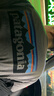 巴塔哥尼亚（Patagonia）男女情侣款通勤P-6 Logo混纺棉休闲潮流户外透气短袖T恤 38504 GLH L 176/185(CM)  80/91(KG) 实拍图