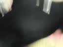 啄木鸟翻领短袖t恤女夏季新款POLO衫纯棉正肩显瘦运动休闲上衣 黑色 2XL 实拍图