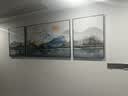 Sixpoetry 客厅装饰画现代简约沙发背景墙壁画轻奢三联晶瓷画大气高档挂画 家和万事兴（铝合金外框） 晶瓷画左右60*80+中间120*80亮面 实拍图