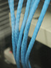 普联（TP-LINK） 六类千兆网线 原装CAT6类非屏蔽高速工程网线 纯铜双绞线 家装网络监控布线100米箱线EC6-100 实拍图