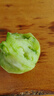 京地达山东铁皮草莓柿子 净重3斤 新鲜蔬菜绿腚番茄源头直发包邮 实拍图