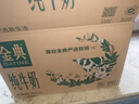伊利【新鲜日期】金典纯牛奶早餐奶250ml*16 3.6g乳蛋白 礼盒装 3月 实拍图