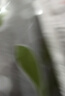 沃凯全自动机芯械男士手表高档日历石英表男款潮流时尚手表男名表 时尚款蓝面 实拍图