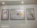诗六艺家饰客厅装饰画北欧现代简约沙发背景墙挂画三联画大气轻奢壁画晶瓷画 吉祥如意（铝合金外框） 镶钻画左右40*60+中间80*60亮面 实拍图