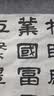 蓓琳娜（BELLINA）【保真橄榄油】欧洲原装进口100%特级初榨橄榄油500ml炒菜食用油 实拍图
