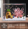 阿拖（ATUO）海绵宝宝珊瑚造景躲避屋卡通公仔菠萝屋鱼缸小摆件水族箱装饰全套 实拍图