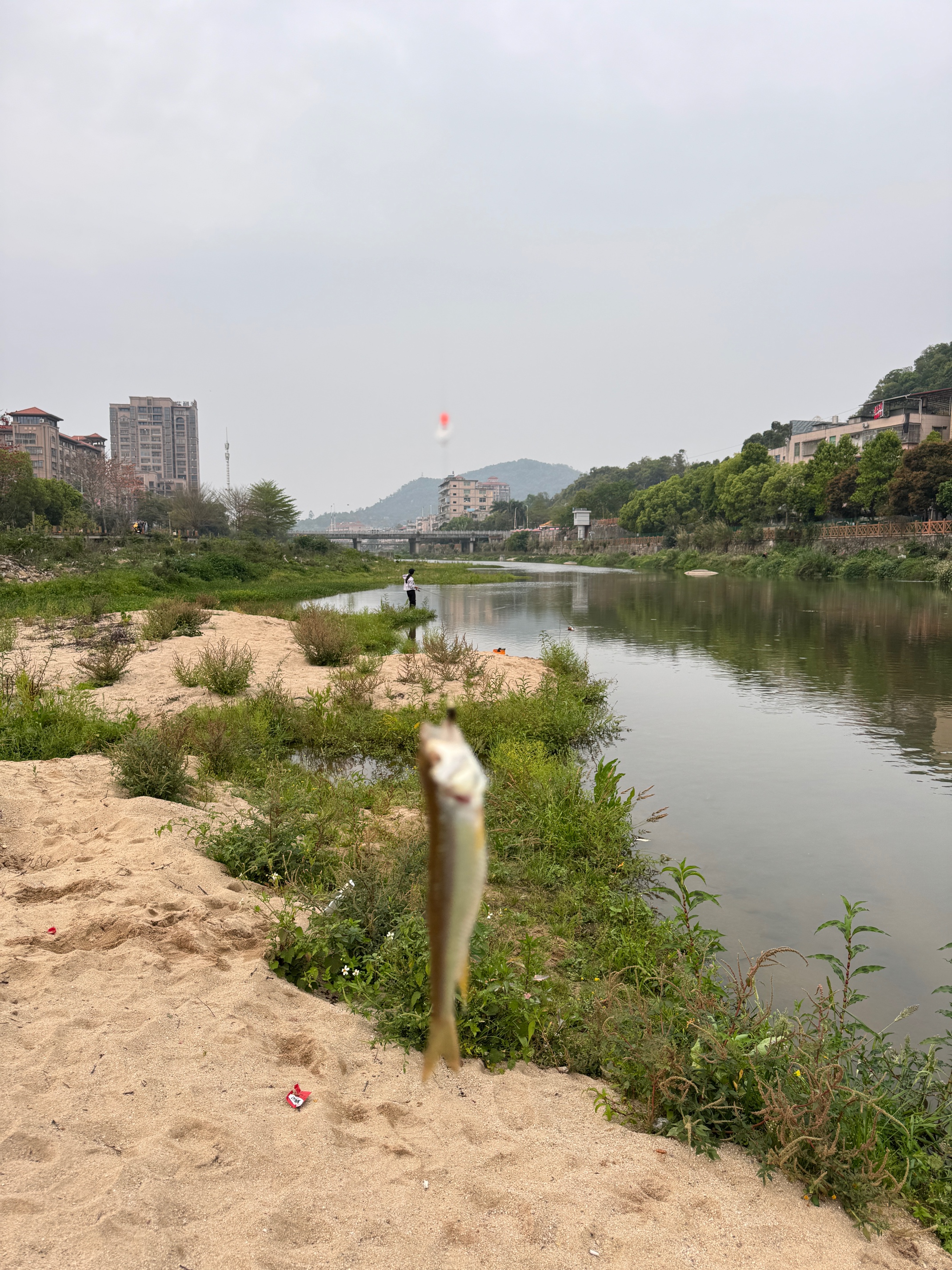 kastking卡斯丁鸿隼微物纺车轮路亚鱼线轮金属线杯马口鳜鱼白条渔轮 实拍图